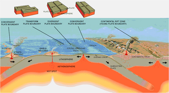 Geological Features Of The Ocean Floor