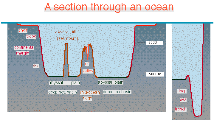 Geological Features Of The Ocean Floor