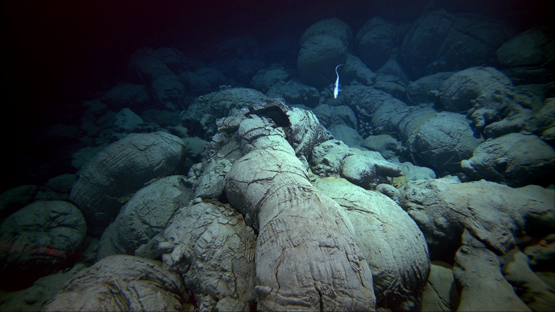 Geological Features Of The Ocean Floor