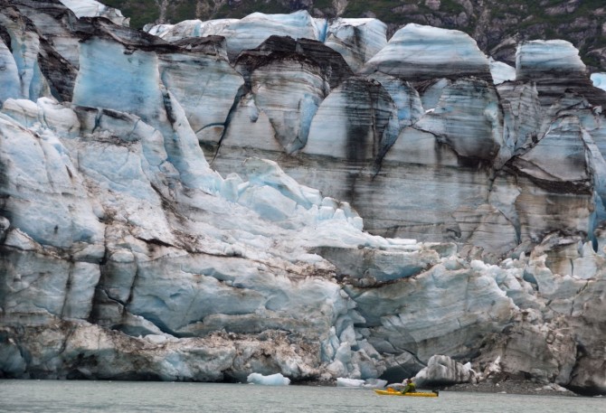 Glacier Bay Alaska Succession