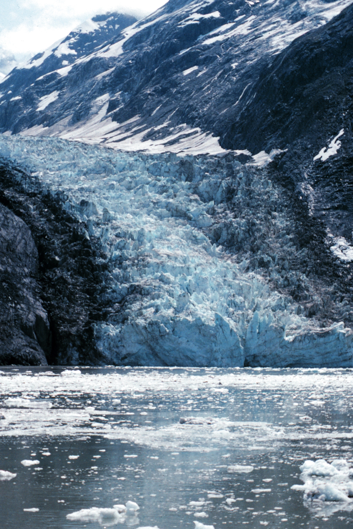 Glacier Bay Images