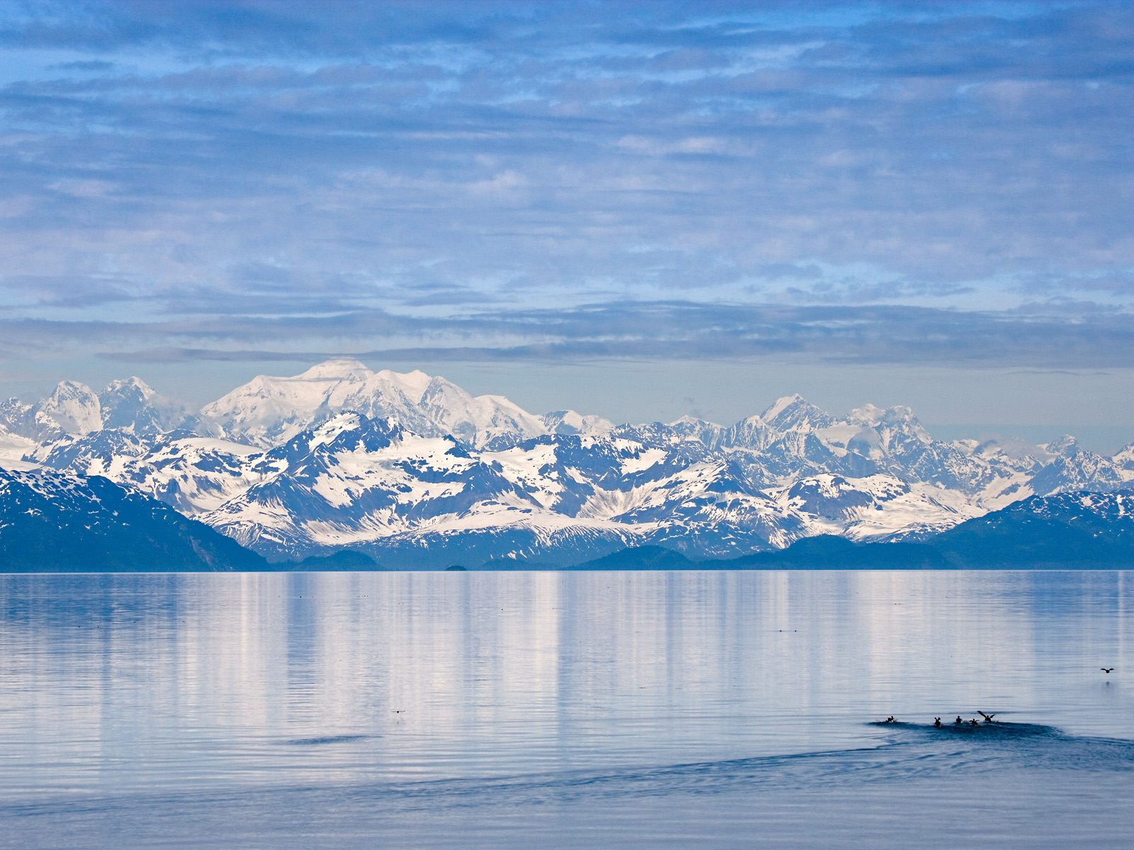 Glacier Bay National Park Ak