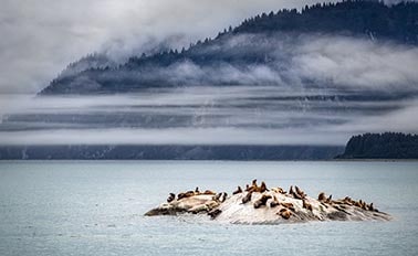 Glacier Bay National Park Alaska (scenic Cruising)