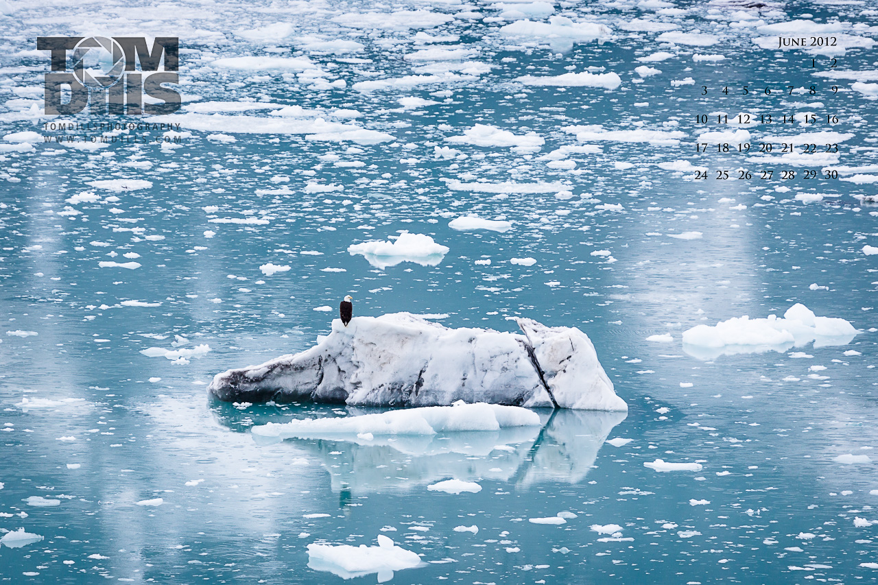 Glacier Bay National Park And Preserve