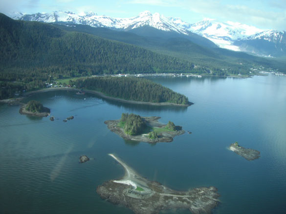 Glacier Bay Shower Head