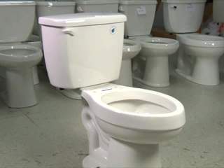 Glacier Bay Toilets N2316