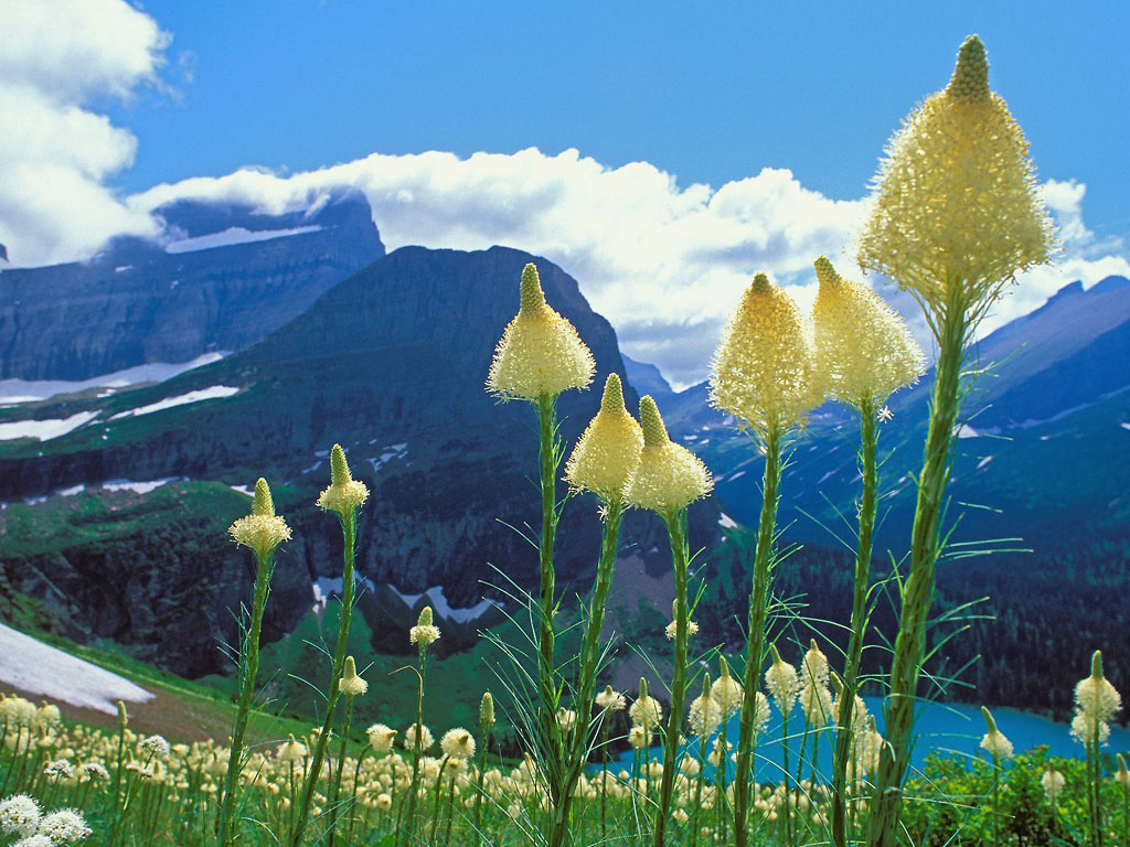 Glacier National Park