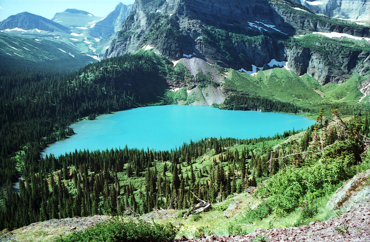 Glacier National Park Animals Pictures