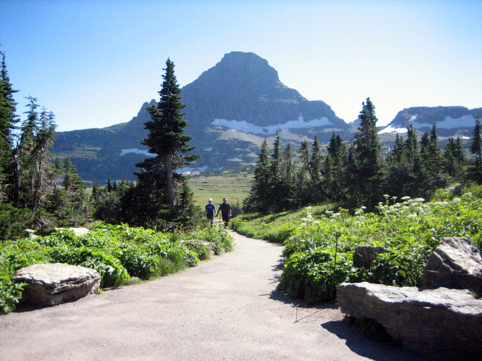 Glacier National Park Bc Map