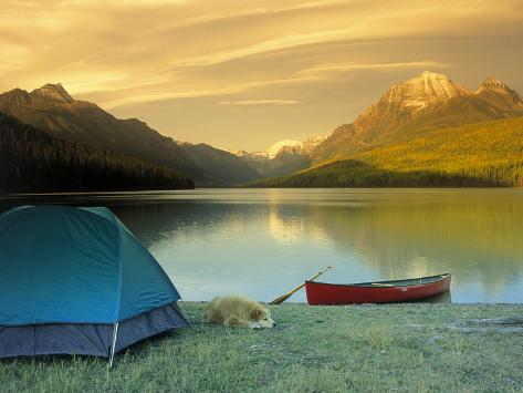 Glacier National Park Canada Camping