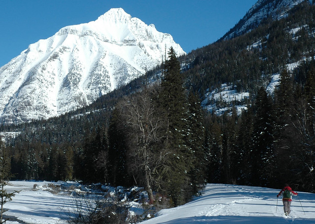 Glacier National Park Winter Tours