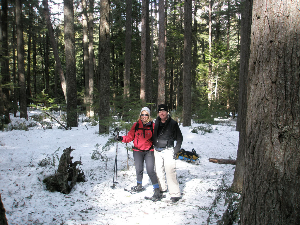 Glacier National Park Winter Tours