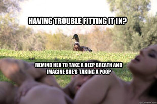 Good Advice Mallard Duck