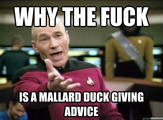 Good Advice Mallard Duck