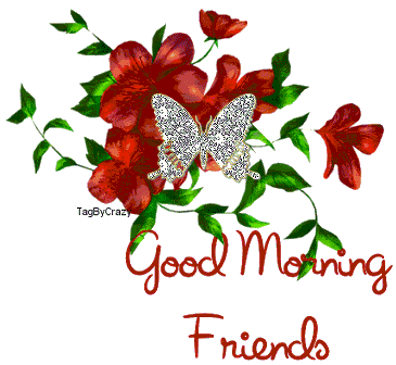 Good Morning Friends Wallpaper Download