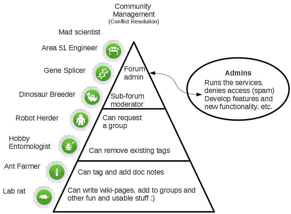 Governance Structure Models