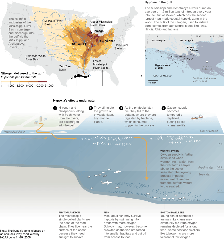 Gulf Of Mexico States Map