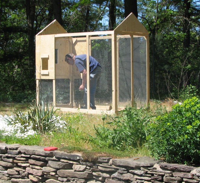 Hardware Cloth Chicken Coop