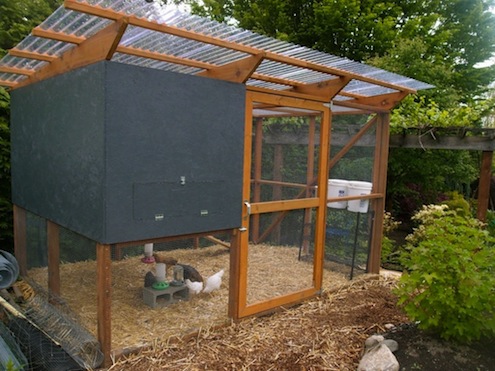 Hardware Cloth Chicken Coop