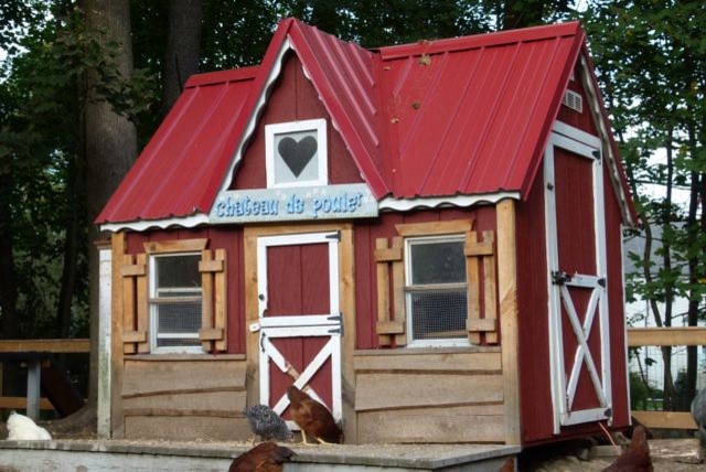 Hardware Cloth Chicken Coop Floor