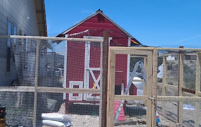 Hardware Cloth Chicken Coop Floor