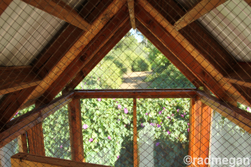 Hardware Cloth Chicken Coop Floor