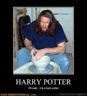 Harry Potter Demotivational Pictures