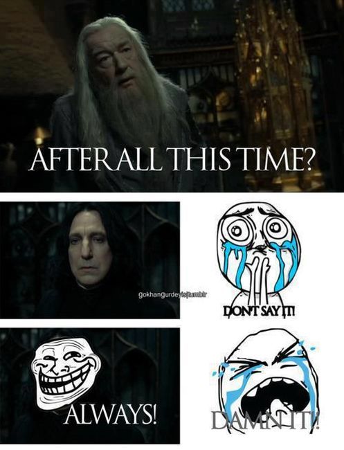 Harry Potter Memes Tumblr