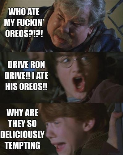 Harry Potter Memes Tumblr