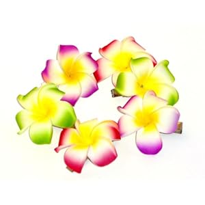 Hawaiian Flower Clips For Hair