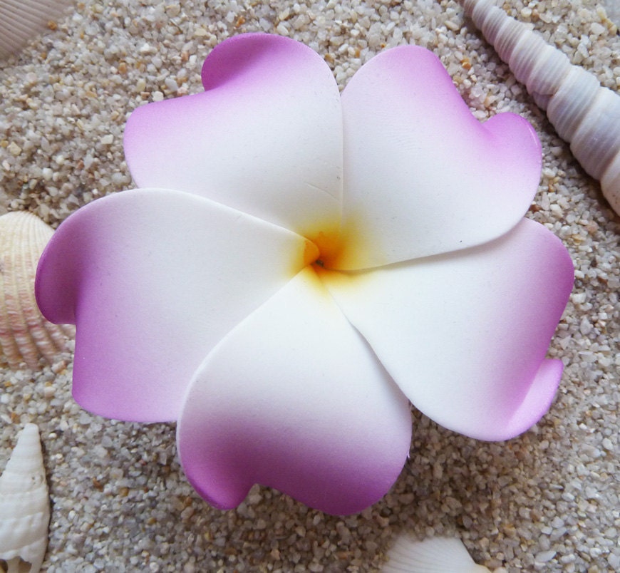 Hawaiian Flower Clips For Hair