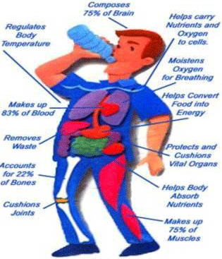 Health Benefits Of Drinking Water In The Morning