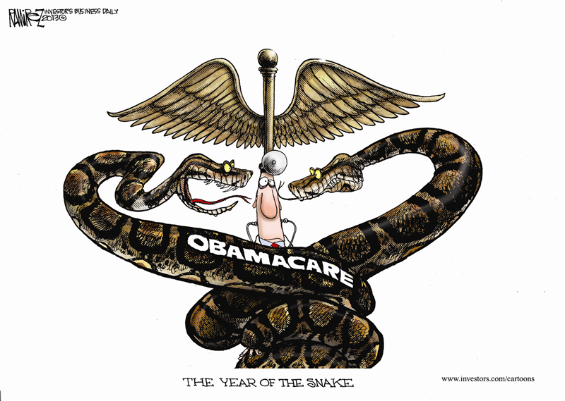 Healthcare Cartoons 2013