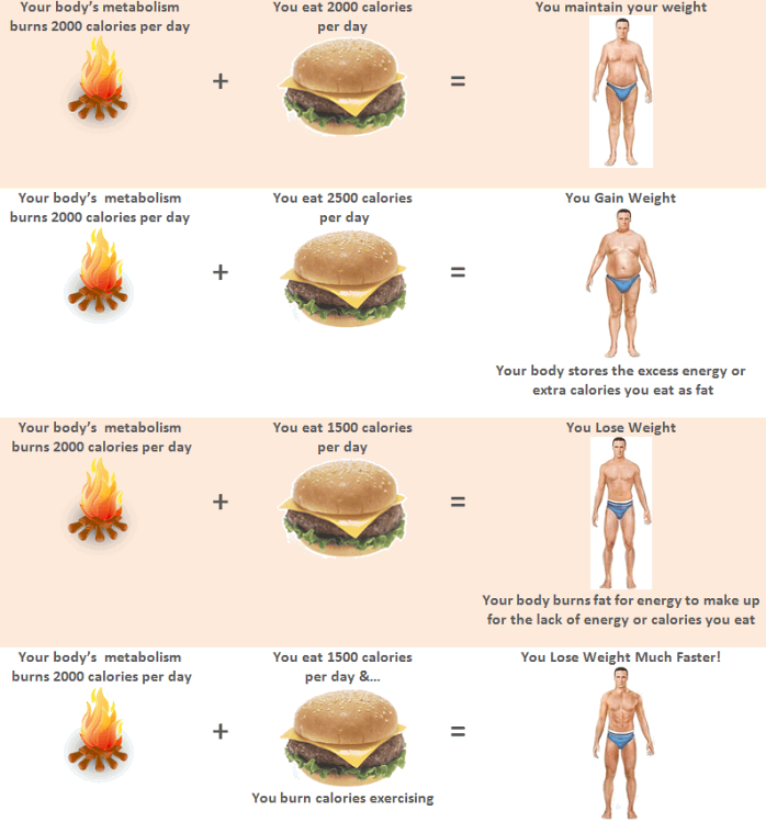 Healthy Diet Chart To Lose Weight