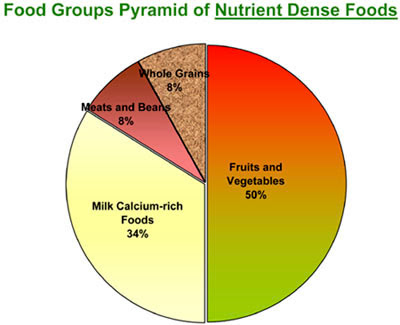 Healthy Diet Pie Chart