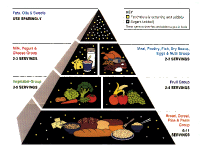 Healthy Diet Pie Chart