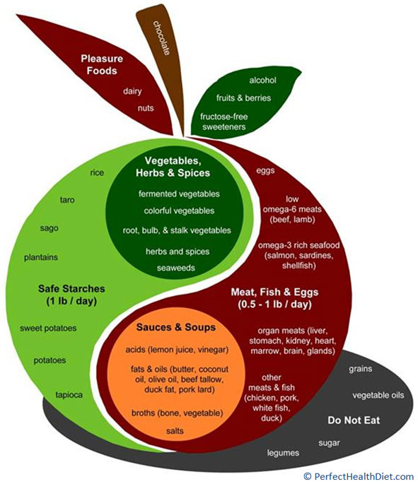 Healthy Diet Plate Percentages