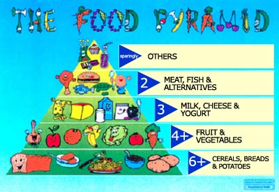 Healthy Diet Pyramid For Teenagers