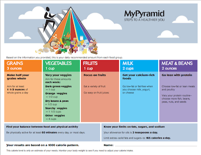 Healthy Diet Pyramid For Teenagers