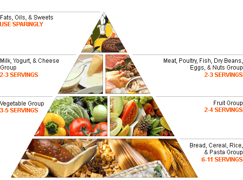 Healthy Diet Pyramid For Teenagers