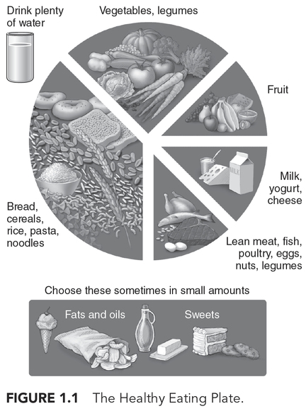 Healthy Eating Plate Australia