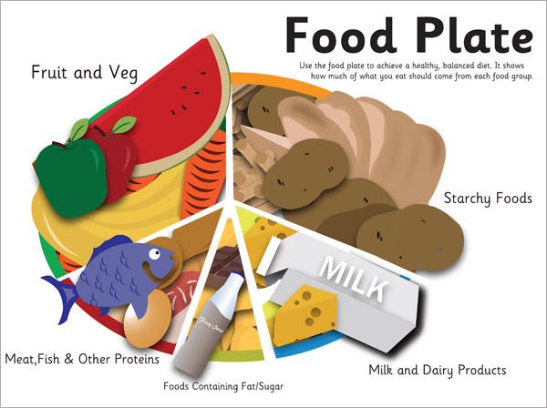 Healthy Eating Plate For Children