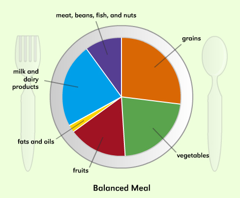 Healthy Eating Plate For Children