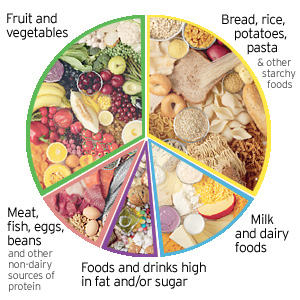 Healthy Eating Plate For Kids