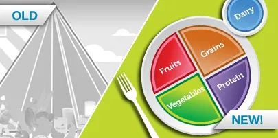 Healthy Eating Plate Percentages