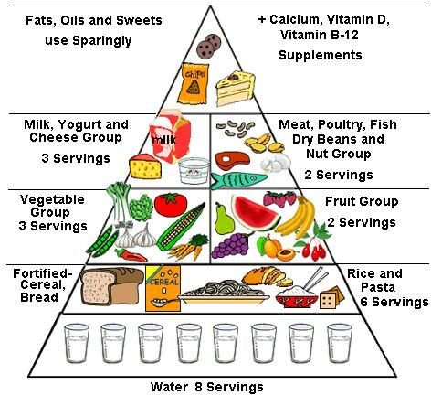 Healthy Eating Pyramid Blank