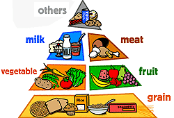 Healthy Eating Pyramid For Kids Australia