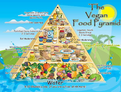 Healthy Eating Pyramid For Kids Australia