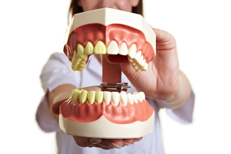 Healthy Gums