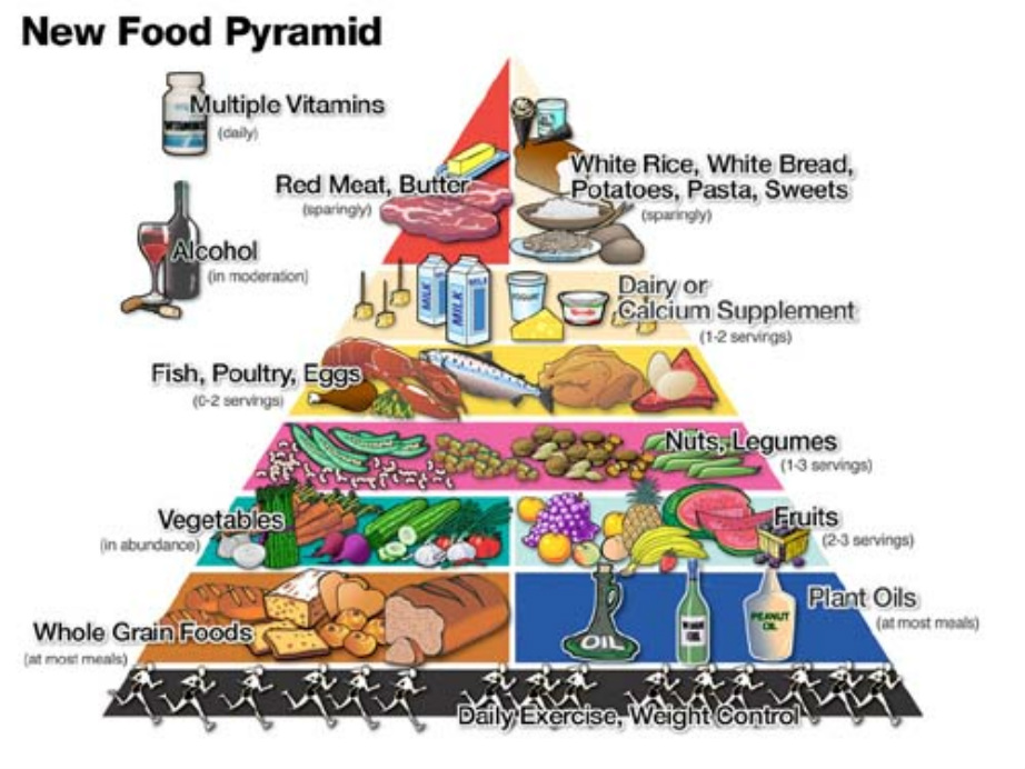 Healthy Lifestyle Pyramid